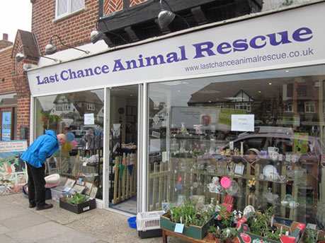 Last chance animal rescue sales near me