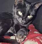 Goose & Baby & Rita