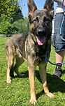 Axel