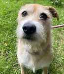 For rescue at Last Chance, Kent near Sussex, Surrey and London - ask for Prince