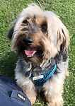 For rescue at Last Chance, Kent near Sussex, Surrey and London - ask for Hector