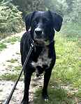 For rescue at Last Chance, Kent near Sussex, Surrey and London - ask for Luna