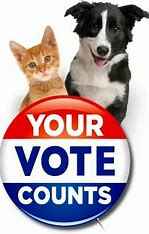 Please vote for us Please vote for us