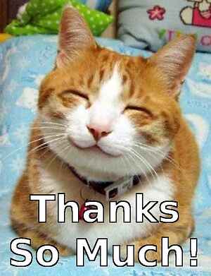 Thank you Thank you