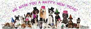 Yappy New Year, hope yours is purrfect!